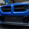 BMW G87 M2 Carbon Fiber CSL-Style Front Grille
