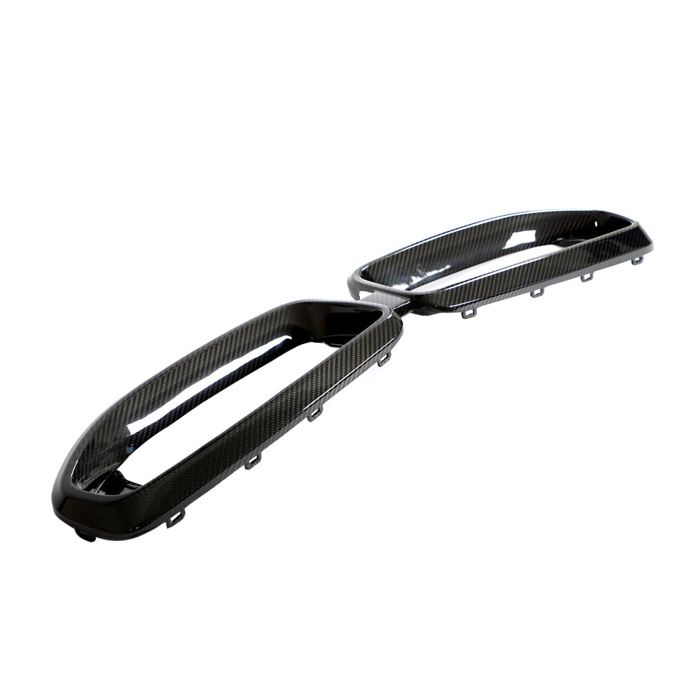 BMW 2 SERIES G42 DRY CARBON FIBER FRONT GRILLE